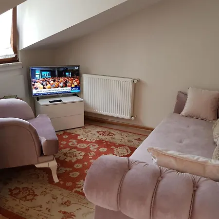 Comfortable Apartment