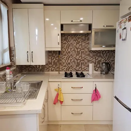 Comfortable Apartment